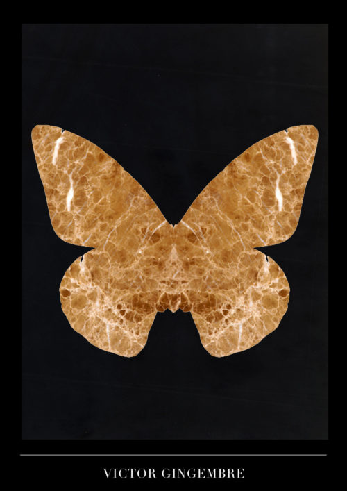 Papillon Marbre